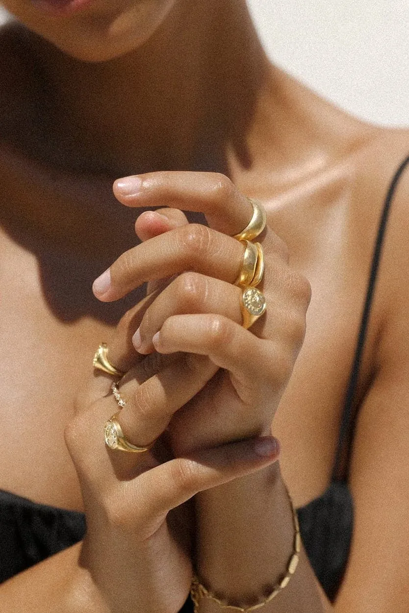 KIRSTIN ASH ZODIAC SIGNET RING - 18K GOLD VERMEIL